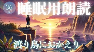 『渡り鳥におかえり』寝落ちできる読み聞かせ朗読【睡眠導入】 [upl. by Pascia]