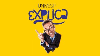 Univesp Explica  Ciência de Dados  Bloco 1 [upl. by Nnaecyoj378]