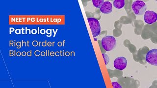 NEETPG Prep  Pathology Right Order of Blood Collection by Dr Ranjana Ranade [upl. by Nicodemus]