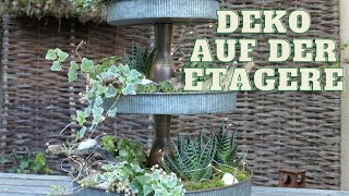 DIY mit Sedum 🪴amp Muscheln 🐚 Natur pur im Lichterglanz  Dekoidee für die Etagere [upl. by Onivla]