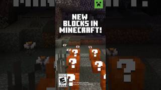 NEW BLOCKS IN MINECRAFT TRY IT NOW [upl. by Ledba560]