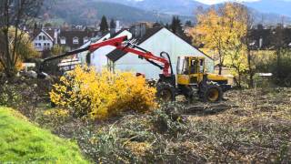 Gundelfinger ärgern sich über Rodung [upl. by Katalin]