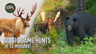 40 Canadian Hunts in 13 Minutes BEST OF HUNTING Compilation [upl. by Delsman]