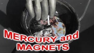 Is Mercury Hg attracted to MAGNETS [upl. by Curren255]