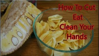 How To Cut And Eat Jackfruit  How To Clean Your Hands After Cutting Jackfruit [upl. by Tepper]