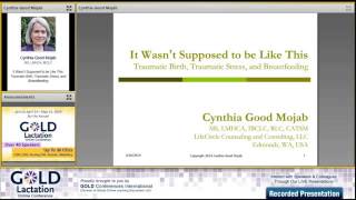 Cynthia Good Mojab Interview  GOLD Lactation 2014 [upl. by Mackler554]