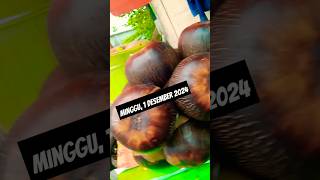 Buah lontar 2024shorts videoshort [upl. by Lletniuq178]