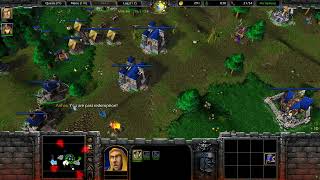 Warcraft 3 Scourge of Lordaeron REWORKED The Dark Knight  05 [upl. by Petula]