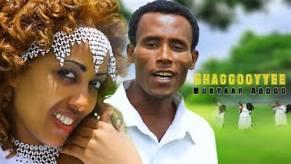 Muktaar AbdooShaggooyyeeNew Ethiopian Oromo Music 2022Seenaa Studio TubeSubscribe [upl. by Adyl]