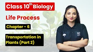 Life Processes  Transportation in Plants Part 2  Class 10 Biology Chapter 6 CBSE 202425 [upl. by Cecilius]