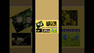 Depression and Bach flower remedies shorts yt shorts [upl. by Graves150]