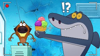 ZIG AND SHARKO  Secret friendship SEASON 3 New episodes  Cartoon Collection for kids [upl. by Ennayhc]