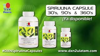 DXN ESPIRULINA CÁPSULAS  Spirulina de DXN [upl. by Anhpad796]