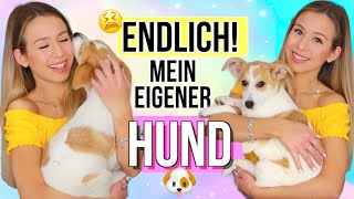 ICH HABE EINEN WELPEN BEKOMMEN 🐶🥰Mein erster EIGENER Hund  Cali Kessy [upl. by Annoyk]