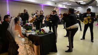 Mariachi Campanas de America  Wedding  Del Rio Texas [upl. by Menzies]