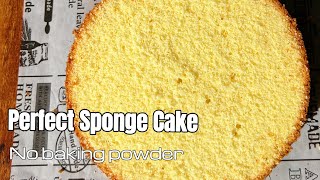 EVERY Detail for Making a Perfect Sponge Cake  Easy Reliable Sponge Cake Recipe [upl. by Yadrahc643]