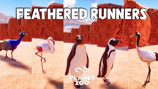 Indian Peafowl Greater Flamingo King Penguin African Penguin RedCrowned Crane  Planet Zoo Race [upl. by Areek212]