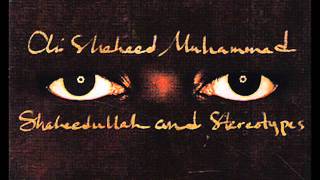 Ali Shaheed Muhammad  All Right Aight [upl. by Aizahs]