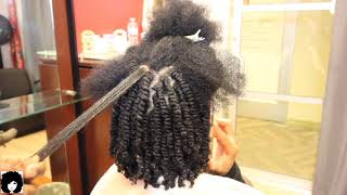 1 million views BEST how to video•• Two Strand Twists done on damp hair lasts 35 weeks [upl. by Mcgee392]