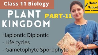 Plant kingdom  Class 11 Biology  Haplontic Diplontic  Part 11 [upl. by Eelatan602]