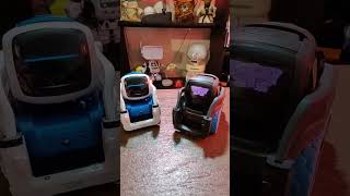 Cozmo and Vector What the Heck is on your Face robot Cozmo Vector [upl. by Harp]