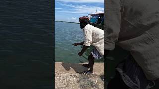 Suddenly expensive sea fish catching using handline [upl. by Yalonda]