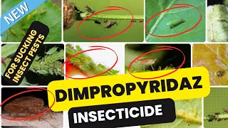 Dimpropyridaz Insecticide Effective Control of Sucking Pests in Crops [upl. by Ayhdnas]