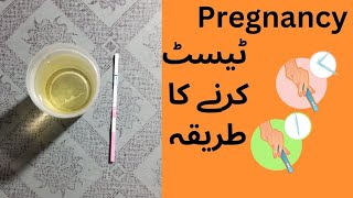 Pregnancy test  Pregnancy Test kaise karte hain  how to check pregnancy test at home [upl. by Abagael255]