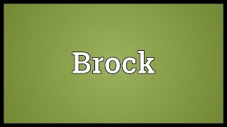 Brock Meaning [upl. by Anahoj124]