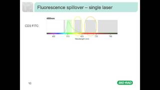 Fluorescence and Compensation in Flow Cytometry [upl. by Ilocin]