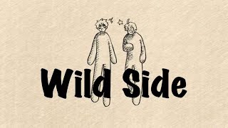 【APヘタリア】Wild☆Side 【アルアサ】 [upl. by Dickman219]