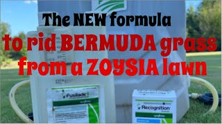 The new formula to remove Bermuda grass from a Zoysia lawn [upl. by Wolsky]