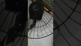 Ventilador de parede arge antigo pro Max 40 cm [upl. by Ahsap]