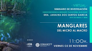 Seminario Manglares del micro al macro [upl. by Ij]