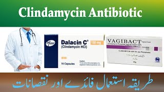 Clindamycin Antibiotic  Clindamycin Capsule and suspension  Vagibact Cream  Dalacin C Capsule [upl. by Sankey745]