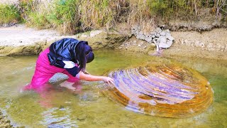 I probed this huge river clam with my hand and it kept sending out very strong signals of wealth [upl. by Ploss]