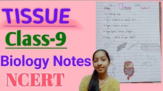 NCERT biology class 9 ch 2 tissues noteshandwrittenpdf in description of table [upl. by Lona]