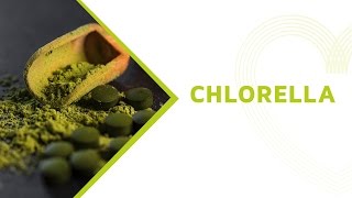 Chlorella Health Benefits Everything You Should Know About this Superfood [upl. by Uv]