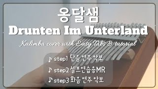 옹달샘 칼림바 숫자악보 칼림바 초보 악보 Drunten Im Unterland kalimba beginner tabs [upl. by Leirraj]