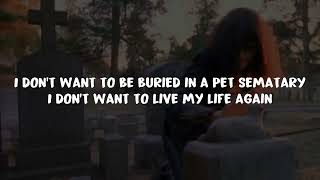 Pet sematary  Ramones lyrics [upl. by Ynneh102]