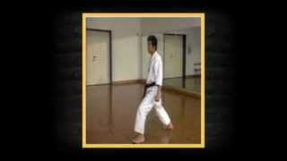 Shotokan Karate Kihon Hirokazu Kanazawa 10Dan DVD Trailer VPM3 [upl. by Moncear]