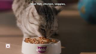 Whiskas Tasty Mix  Make Every Meal Special for your cat [upl. by Firooc]