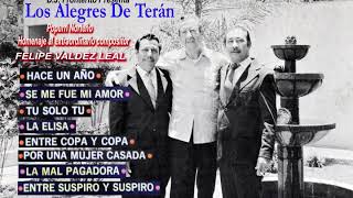 Los Alegres De Teran  Popurri Homenaje Norteño [upl. by Eenyaj850]