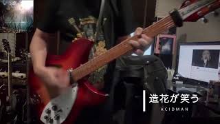 造花が笑う／ACIDMAN cover [upl. by Ostap]