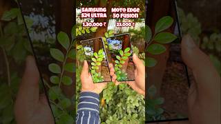 Samsung S24 Ultra vs Motorola Edge 50 Fusion Camera Test s24ultra edge50fusion trending shotrs [upl. by Yerrot]