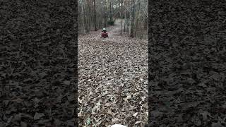 Honda trx90  six year old drifting in the leaves honda drifting atv [upl. by Noterb]