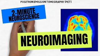 2Minute Neuroscience Neuroimaging [upl. by Ailahtan258]