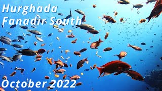 Hurghada  Fanadir South  Październik 2022 [upl. by Nirehs]