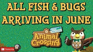 ACNH ALL NEW FISH IN JUNE amp ALL NEW BUGS IN JUNE Animal Crossing New Horizons June Fish amp Bugs [upl. by Ofella160]