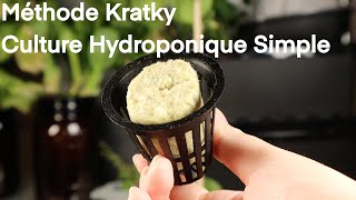 Culture Hydroponique selon la Méthode Kratky [upl. by Latia]